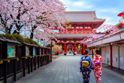 Япония - все о стране, отдыхе и путешествиях | Planet of Hotels