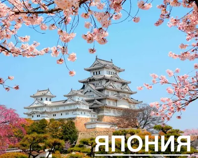 Япония | Japan | Все о Японии, описание страны, интересные факты, отзывы