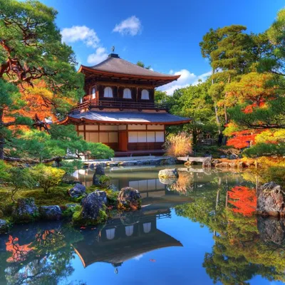 Отдых в Японии. Все что нужно знать о Японии: климат, курорты, кухня, виза