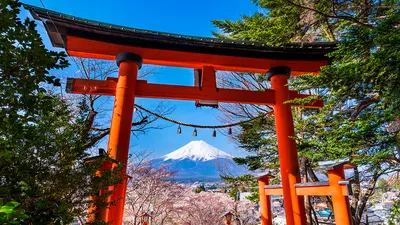 Отдых в Японии в 2023 году: что посмотреть, когда ехать и как добраться,  цены
