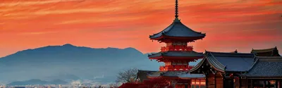Япония с Востока на Запад (осень 2023) – Купить туры и экскурсии в Японию |  Туроператор Wasabi Tour