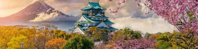Япония: традиции и инновации - статья StudyLab