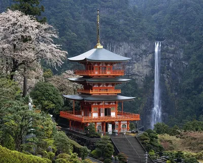 Япония изнутри – стоящее путешествие - Бізнес новини Кам'янця-Подільського
