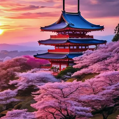 Где отдохнуть в Японии зимой? | Gaku.ru | Дзен