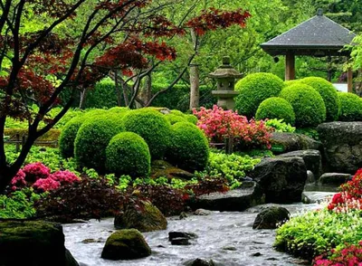 Микромиры: японские сады камней: Идеи и вдохновение в журнале Ярмарки  Мастеров