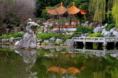 Японский сад на собственном участке