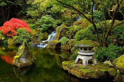 20 японских садов со всего света » BigPicture.ru