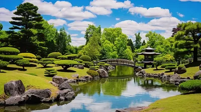 Как сделать японский сад, маленькие японские сады дома | Houzz Россия