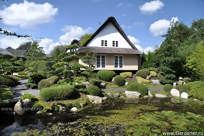 Японский сад (Цепочки квестов) | Загадочный дом вики | Fandom