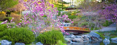 Японский сад на участке. Ландшафтный дизайн. - YouTube