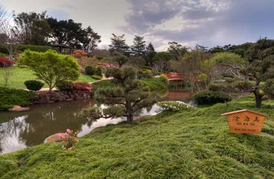 Японский сад камней, сад в японском стиле в Киеве - Магия сада