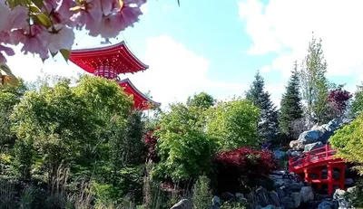 Лучшие японские сады вне Японии! — Workle