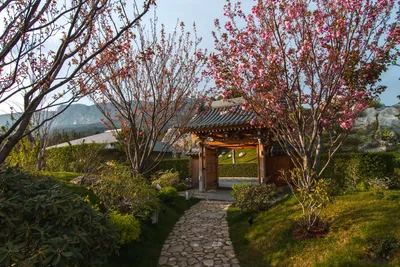 Японский стиль и сад в ландшафтном дизайне - особенности и отличительные  черты