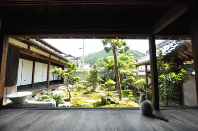 Скачать картинки Японские сады, стоковые фото Японские сады в хорошем  качестве | Depositphotos