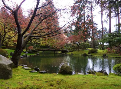 Японские сады» — создано в Шедевруме
