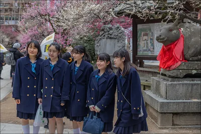 Япония: Японские школьницы (августовский выпуск)
