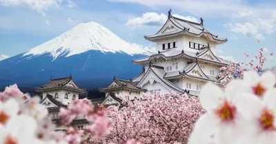 Япония - страна, достопримечательности, отдых, культурные особенности,  кухня, шопинг, национальные праздники