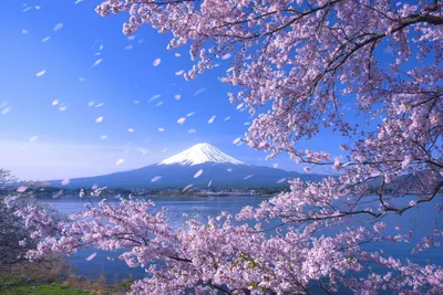 Японский пейзаж рисунок - 57 фото