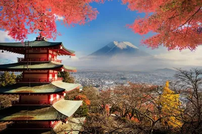 Япония акварель пейзаж японии картины на заках | Картины, Пейзажи, Рисунки