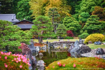 Японский сад - произведение искусства для любования и медитации