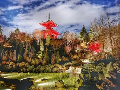 Японский сад — 91415 41х51 см / Купить картину по номерам Dimensions