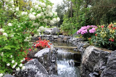 De Japanske Haver (Японский сад в Броби) | Ландшафтный дизайн садов и парков
