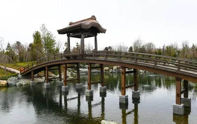 Стало известно, как выглядит Японский сад в парке Галицкого ВИДЕО | Живая  Кубань
