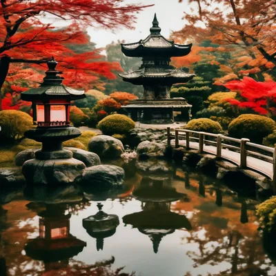 Японский сад | Шесть чувств