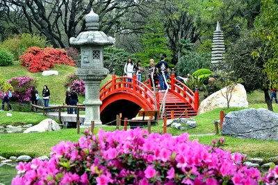 Экскурсия в Японский сад в парке Краснодар
