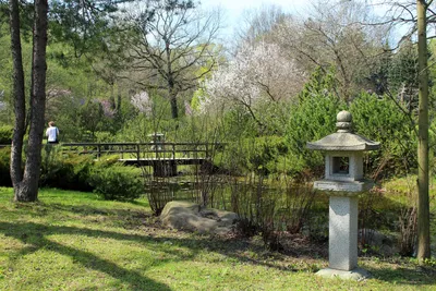 Ландшафтный дизайн частной резиденции Японский сад