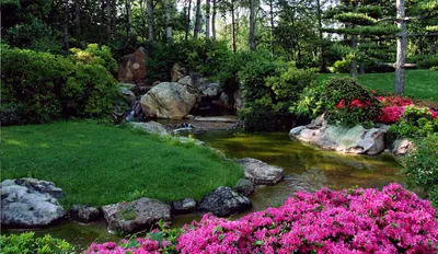 Японский сад в Ботаническом саду Петербурга