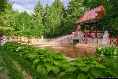 Японский сад в парке Галицкого открыт для посещения | Парк «Краснодар» -  лучший в России - YouTube
