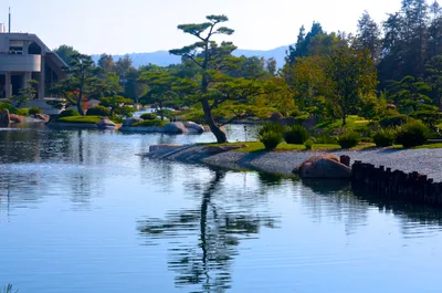 Как обустроен японский сад - Корисно знати - Статьи