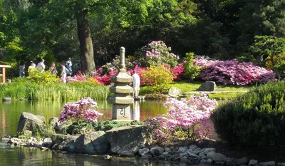 Самый большой Японский сад за пределами страны восходящего солнца:  интересные локации и их смысл