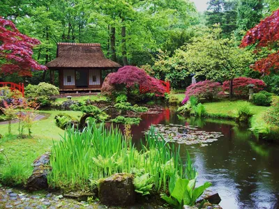 Как создать сад в японском стиле: планировка, архитектурные элементы и декор