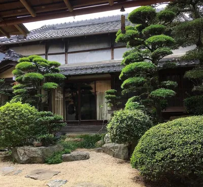 Японский стиль в интерьере: 6 главных принципов и атрибутика