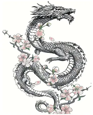 Эскиз дракона в японском стиле - 93 фото