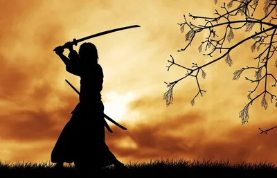 Странный обычай Японских самураев | Рецензент | Дзен