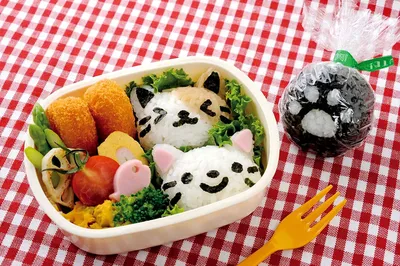Основные продукты в японской кухне - Суши Папа