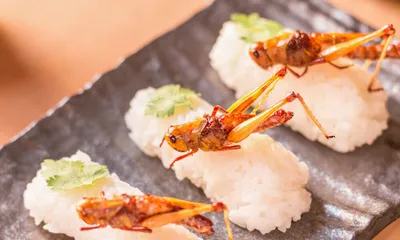 Игровой набор Японской еды, Набор роллы и суши