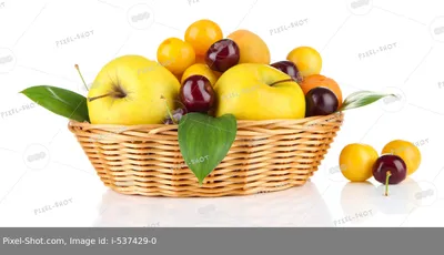 рисованной бесшовной текстуры свежие и яркие абрикосовые листья и фрукты на  белом фоне, оранжевая иллюстрация, апельсин, фруктовая текстура фон  картинки и Фото для бесплатной загрузки