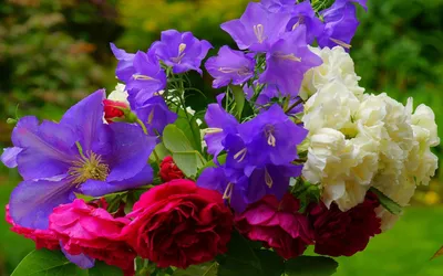 Скачать обои цветы, для, стола, рабочего, flowers разрешение 2560x1600  #78610