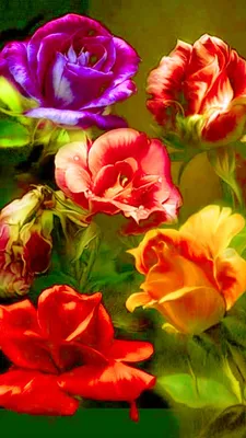 яркий цветочный фон обои яркие красивые цветы цветочная композиция крупным  планом Стоковое Изображение - изображение насчитывающей свеже, центральное:  221242475