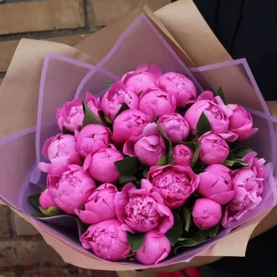 Купить Эквадорские розовые розы в дизайн оформлении в Нижнем Новгороде