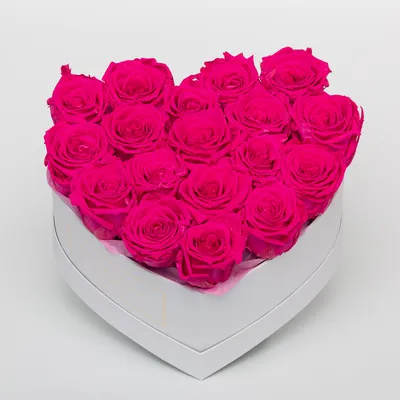 Купить 35 ярко-розовых роз в коробке по доступной цене с доставкой в Москве  и области в интернет-магазине Город Букетов