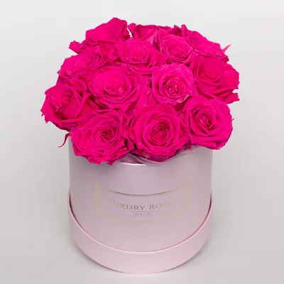 Сакура цветущая,ярко розовый,фуксия,…» — создано в Шедевруме