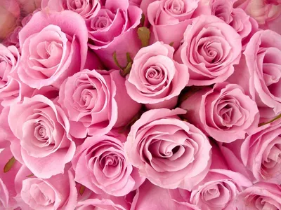Красивые яркие розовые губы состав Closeup Стоковое Изображение -  изображение насчитывающей способ, мило: 66848579