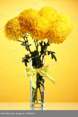 Ярко желтые цветы (48 фото) - 48 фото