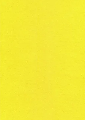 Ярко жёлтые карликовые хризантемы,…» — создано в Шедевруме