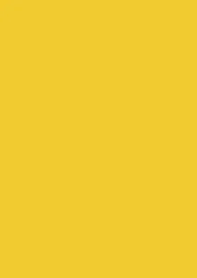 ярко-желтые цветы космос серно-желтый. прекрасные садовые цветы для  декоративного пейзажа Стоковое Изображение - изображение насчитывающей  поле, ботаническую: 227220961